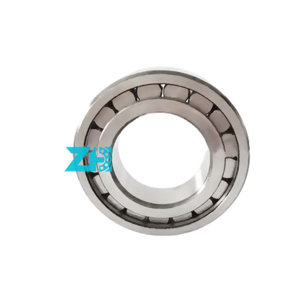 f-202578.rnu full complement cylindrical roller bearings f-202578.01.rnu F-202578.01 Rnu 35.55*57*